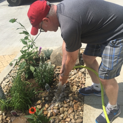 Volunteer Planting A Pollinator Garden Lgbt
